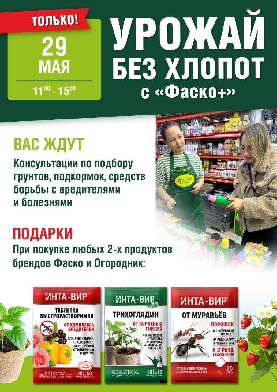 Мастер-класс