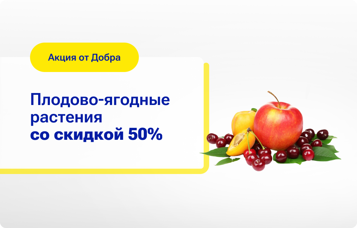 Акция в Садовом центре— теперь плодово-ягодные растения можно купить со скидкой 50%!