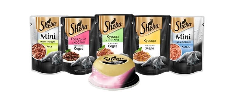 Популярные породы кошек