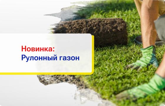 Новинка в ТК «Добро» Рулонный газон